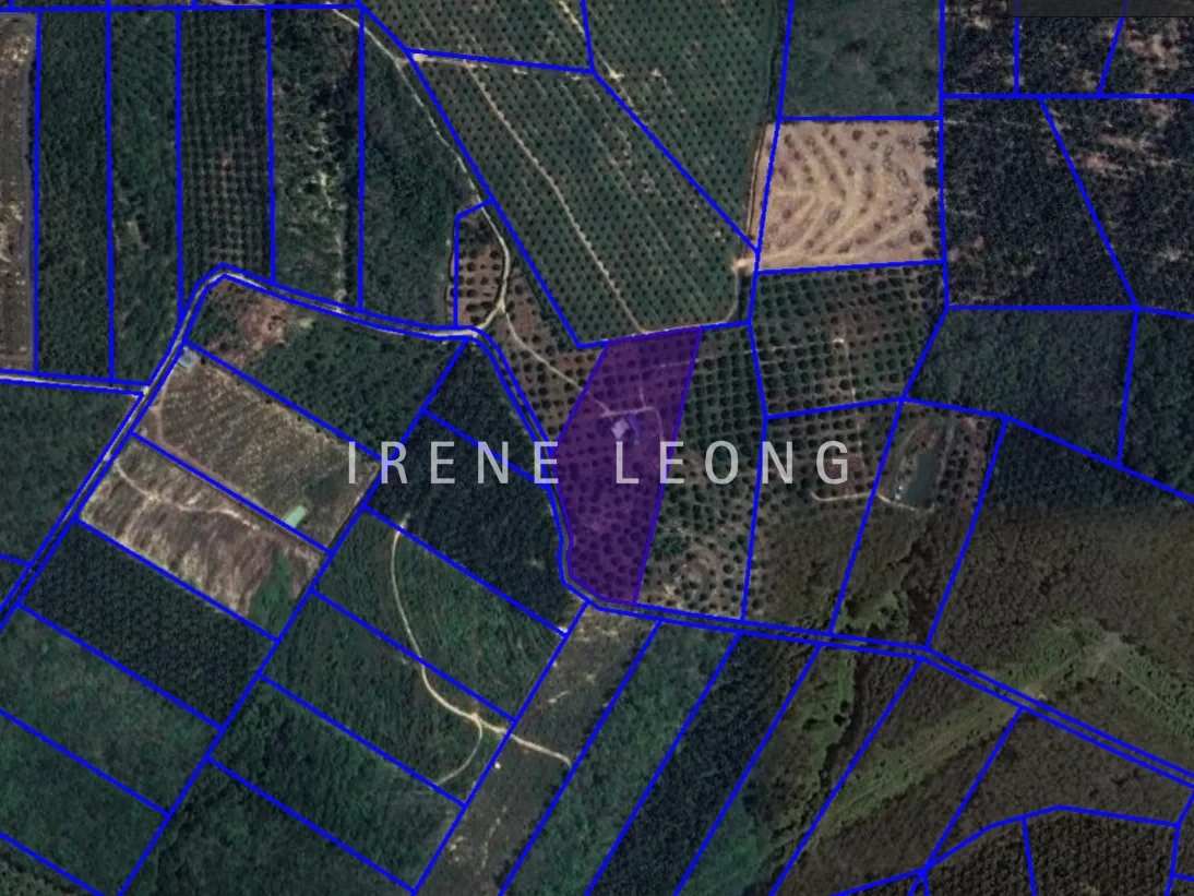 Screenshot 2026-02-04 101000