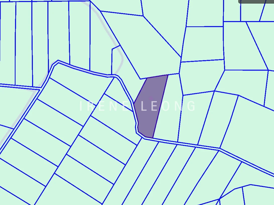 Screenshot 2026-02-04 101017
