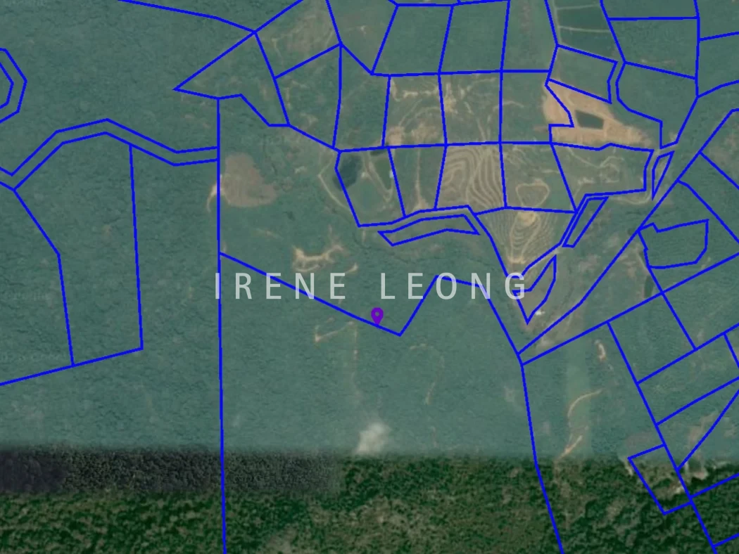 Screenshot 2026-02-14 102620