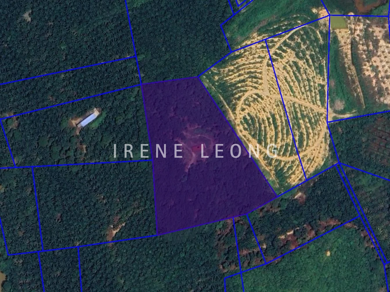 Screenshot 2026-06-08 114456